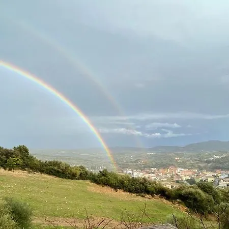In Διαμέρισμα Loceri